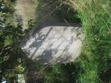 image of grave number 528460